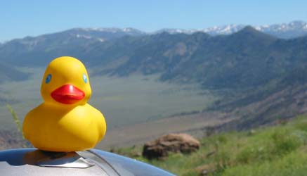 Ducky