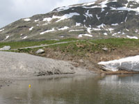 Bernina