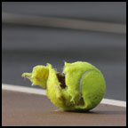 Day 104: Tennis ball