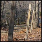 Day 44: fenceposts